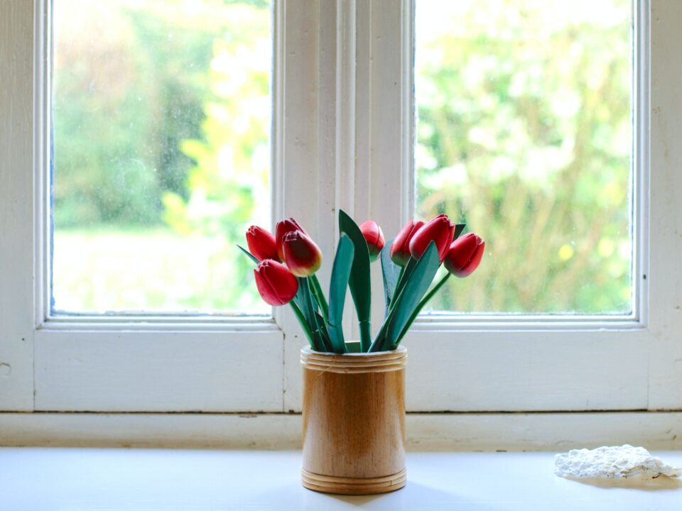 tulips sit by windows/shutters in the spring